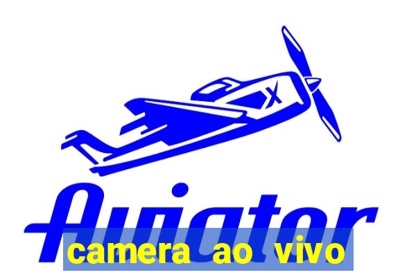 camera ao vivo terminal vila nova cachoeirinha